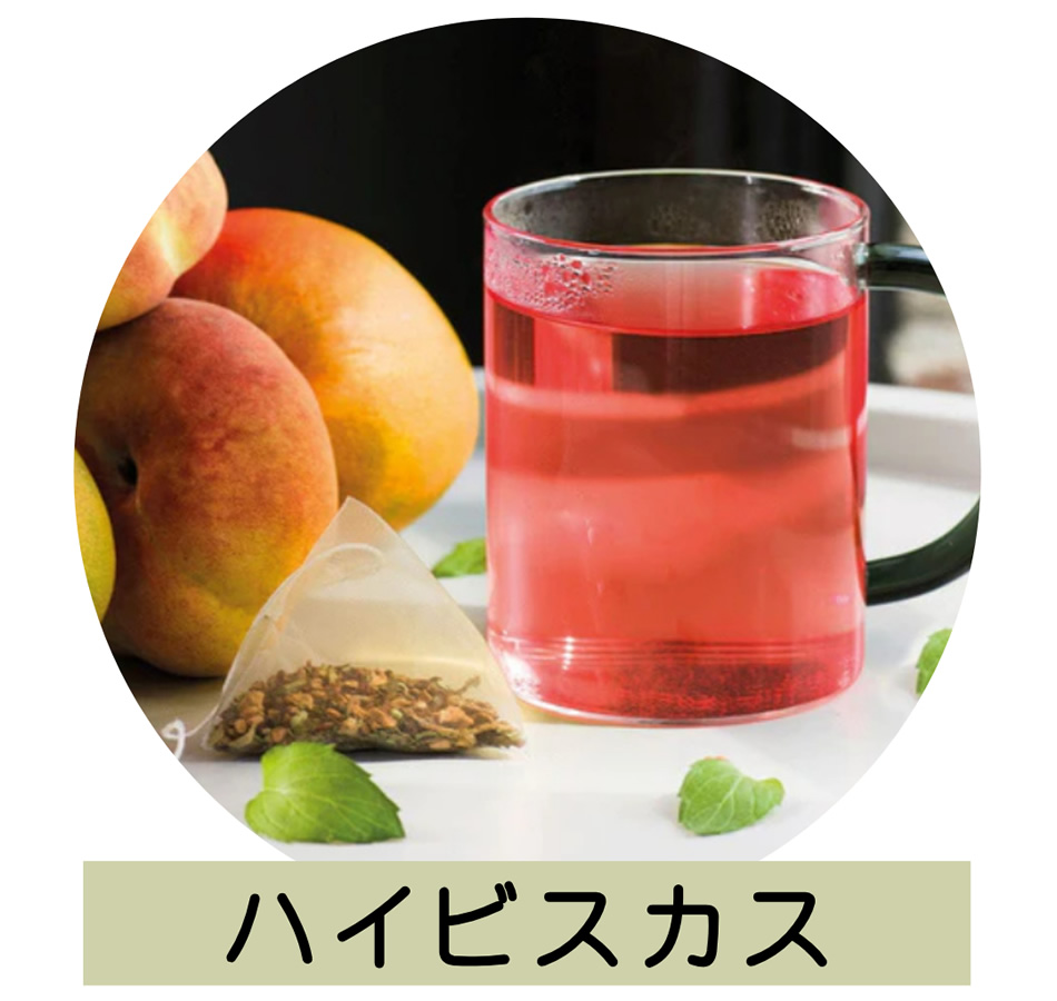 ハイビスカス