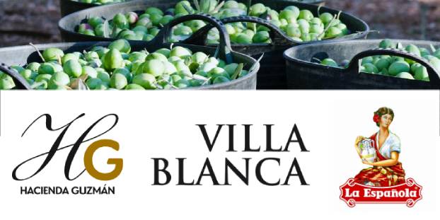 VILLA BLANCA アンダルシアの自然の中で育ったこだわりのオリーブオイル