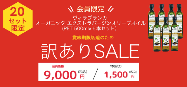 villa_outlet_bnr.png