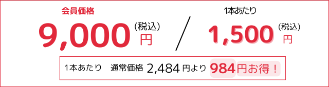 訳ありセール2
