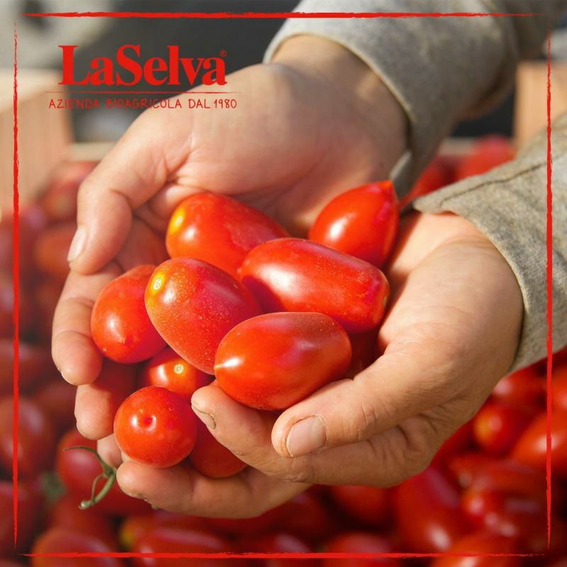 ラセルバ オーガニック ざく切りトマト（イタリア産 有機JAS認定商品）画像2