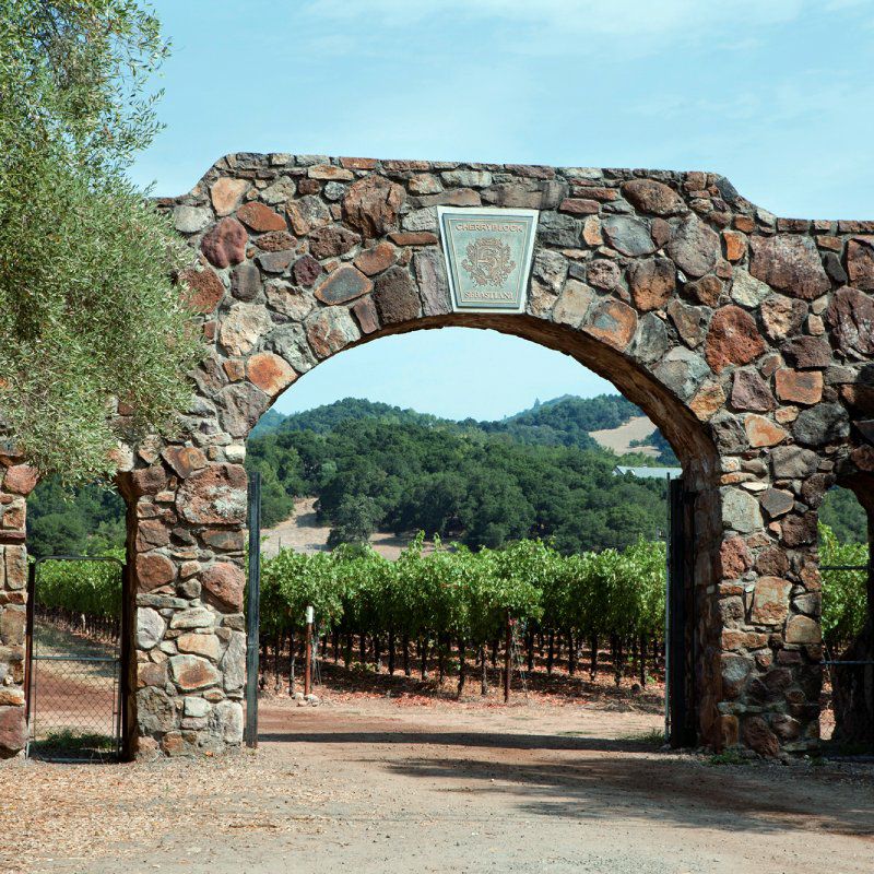 カリフォルニア産赤ワイン『セバスチャーニ レッド・ワイン』とオードブルのセット画像1