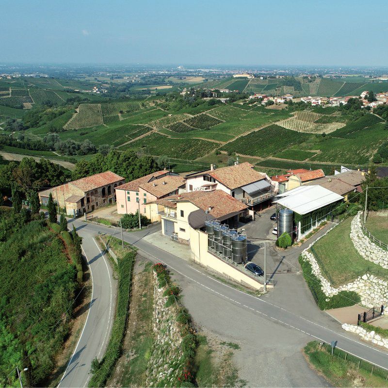 イタリア産スパークリングワイン『ヴァンジーニ ピノ・ネロ』とオードブルのセット画像1