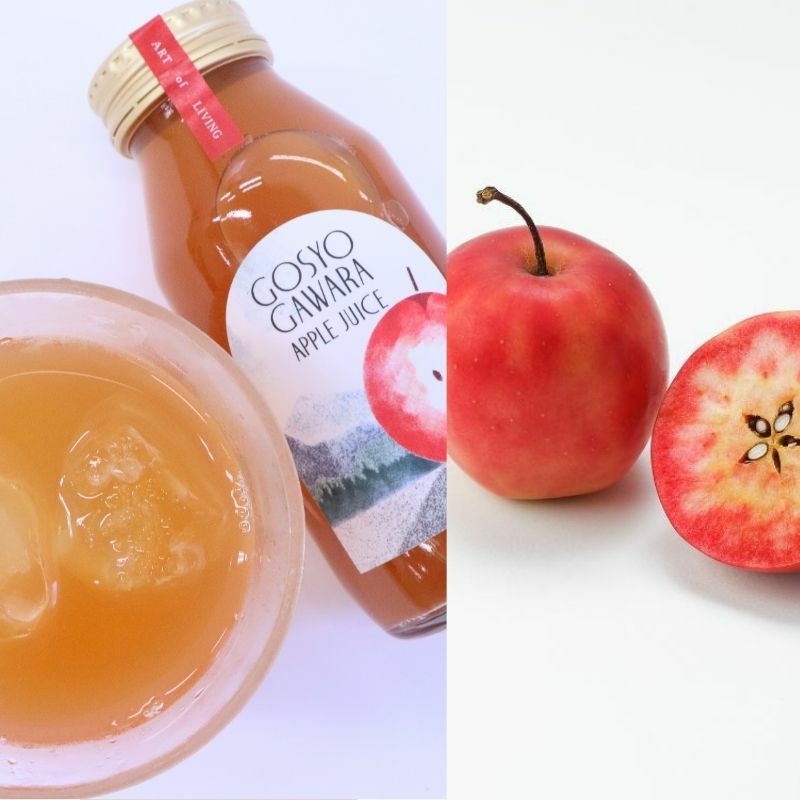 樹上完熟手摘みりんご100%ストレートジュース飲み比べ5本セットC